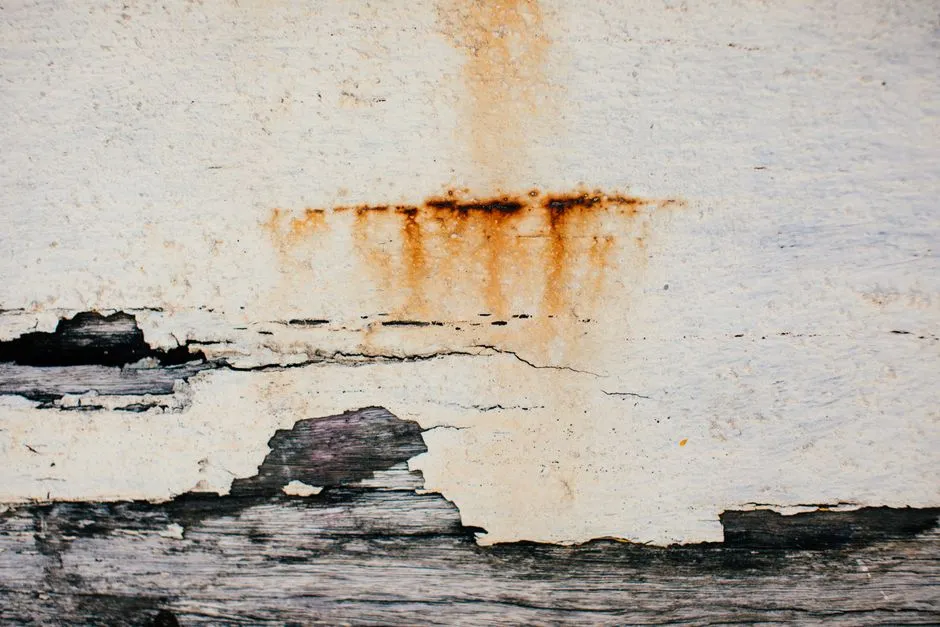 Roof Maintenance Checklist for San Diego Homes
