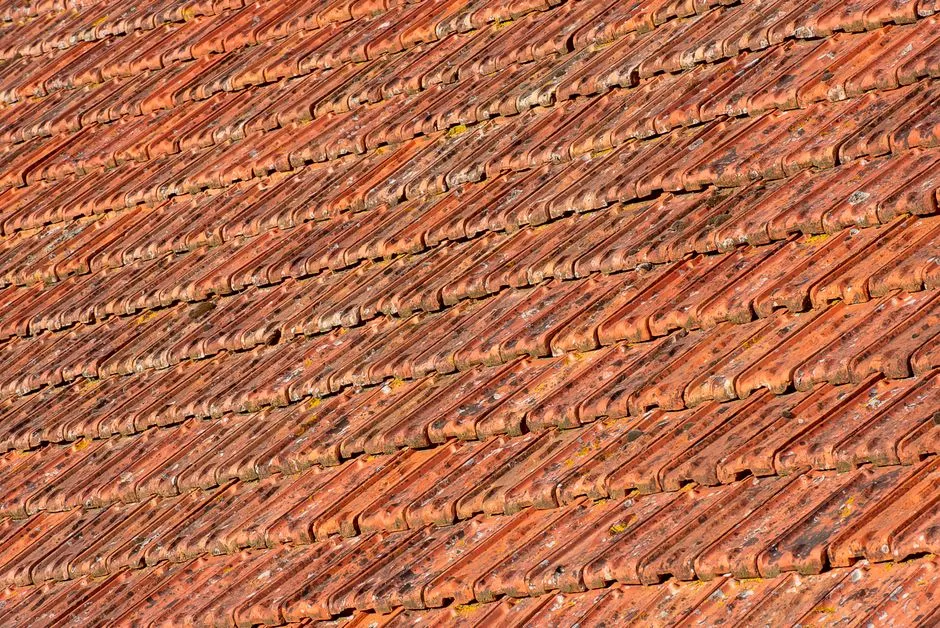 How Long Does a Roof Last? Lifespan by Roofing Material