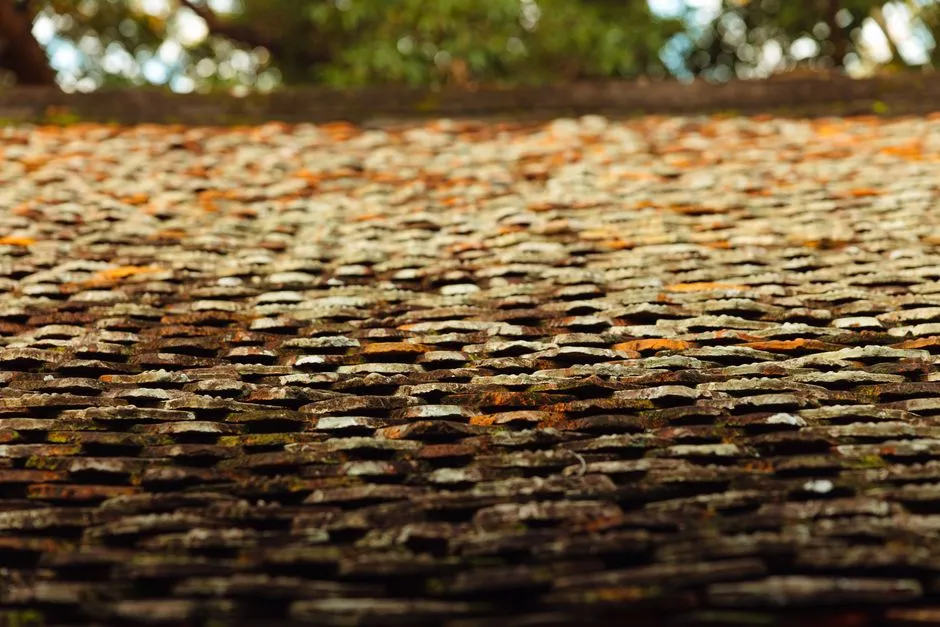 How to Compare Roofing Estimates: A Bid Checklist